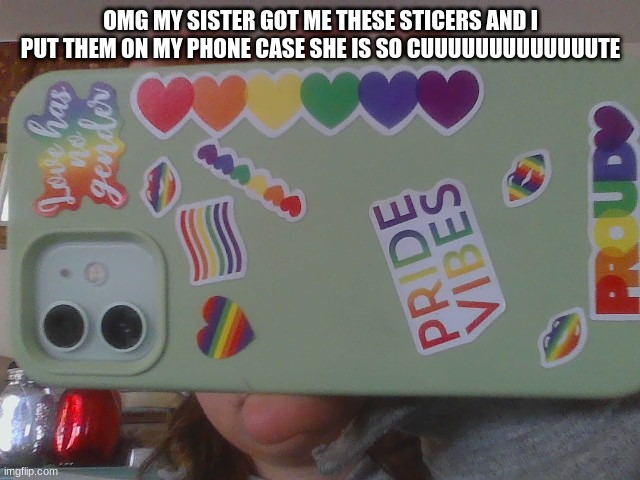 OMG MY SISTER GOT ME THESE STICERS AND I PUT THEM ON MY PHONE CASE SHE IS SO CUUUUUUUUUUUUUTE | made w/ Imgflip meme maker