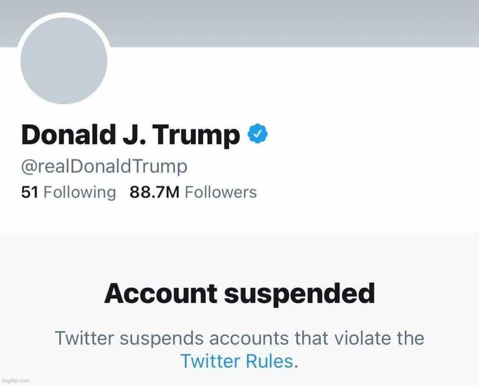 Trump banned from Twitter | image tagged in trump banned from twitter | made w/ Imgflip meme maker