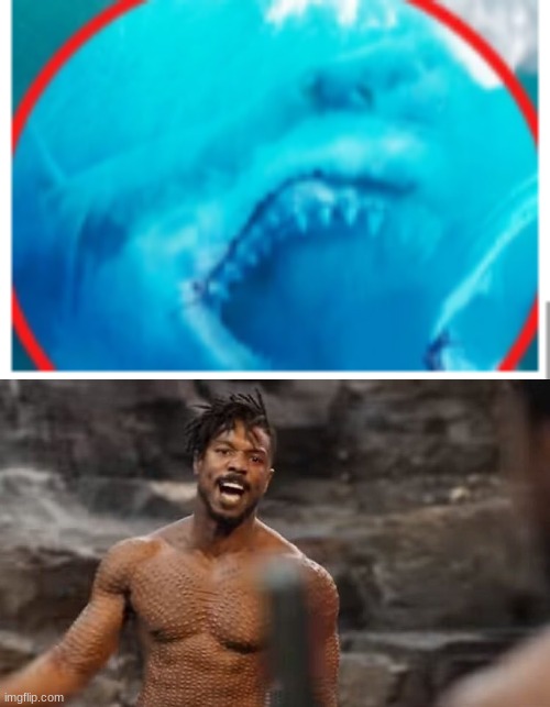 This came from a video titled "Megalodon: Real or Fake?" I think they're real. *coughcough*jaws*coughcough | image tagged in is this your king | made w/ Imgflip meme maker