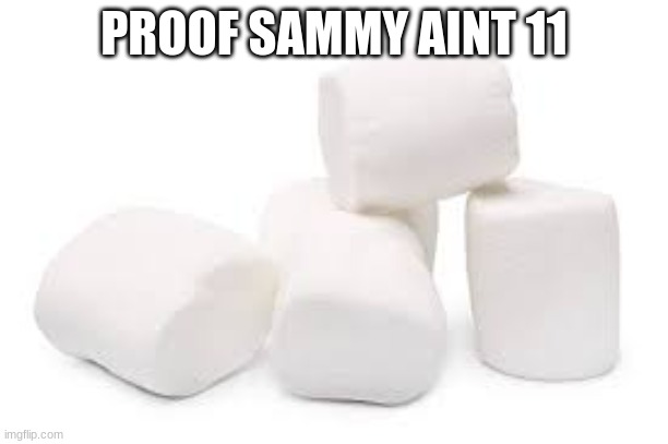 PROOF SAMMY AINT 11 | made w/ Imgflip meme maker