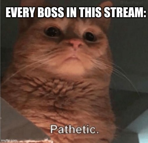 Pathetic Cat | EVERY BOSS IN THIS STREAM: | image tagged in pathetic cat | made w/ Imgflip meme maker