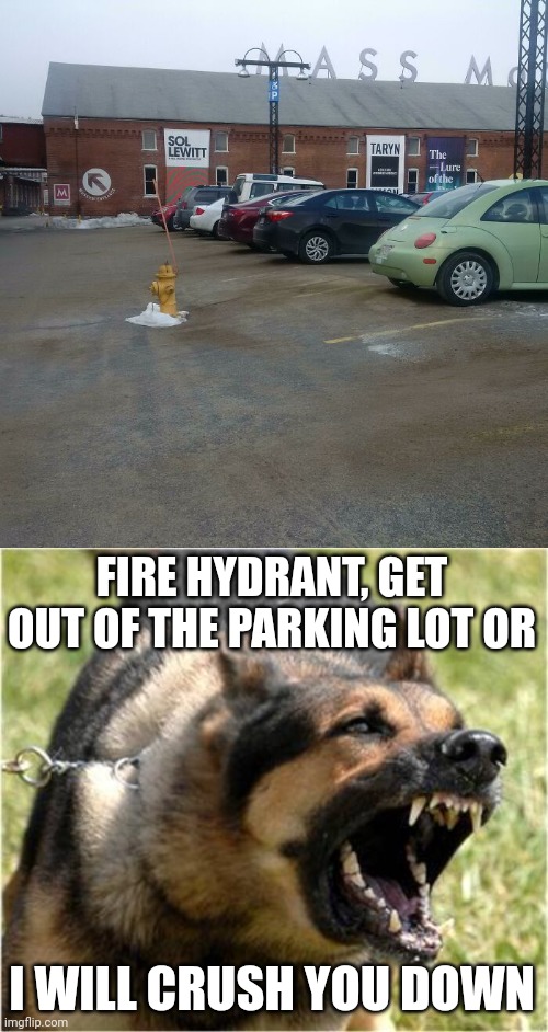 Fire hydrant in the parking lot | FIRE HYDRANT, GET OUT OF THE PARKING LOT OR; I WILL CRUSH YOU DOWN | image tagged in angry dog,you had one job,parking lot,memes,meme,fire hydrant | made w/ Imgflip meme maker