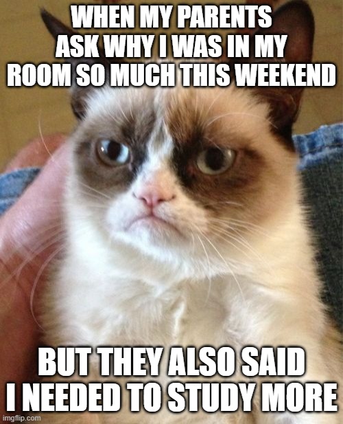 Grumpy Cat | WHEN MY PARENTS ASK WHY I WAS IN MY ROOM SO MUCH THIS WEEKEND; BUT THEY ALSO SAID I NEEDED TO STUDY MORE | image tagged in memes,grumpy cat | made w/ Imgflip meme maker