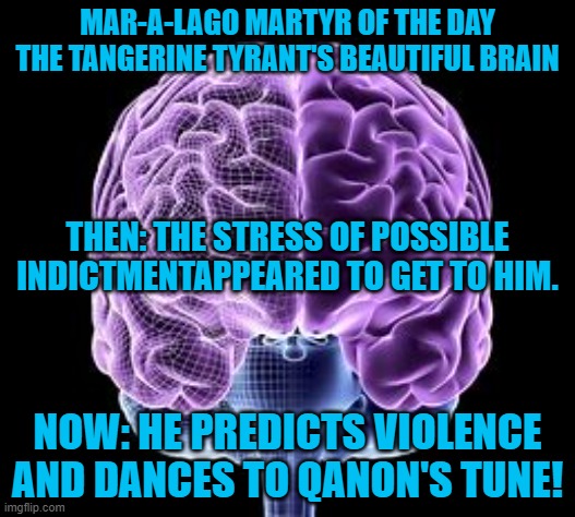 Is their an alternative to his Alternate reality that is reality based? | MAR-A-LAGO MARTYR OF THE DAY
THE TANGERINE TYRANT'S BEAUTIFUL BRAIN; THEN: THE STRESS OF POSSIBLE INDICTMENTAPPEARED TO GET TO HIM. NOW: HE PREDICTS VIOLENCE AND DANCES TO QANON'S TUNE! | image tagged in politics | made w/ Imgflip meme maker