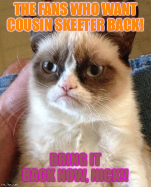 Grumpy Cat | THE FANS WHO WANT COUSIN SKEETER BACK! BRING IT BACK NOW, NICK!! | image tagged in memes,grumpy cat | made w/ Imgflip meme maker