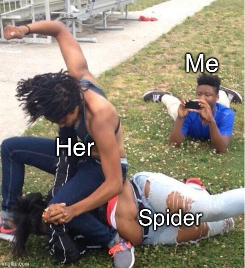 Guy recording a fight | Me Her Spider | image tagged in guy recording a fight | made w/ Imgflip meme maker