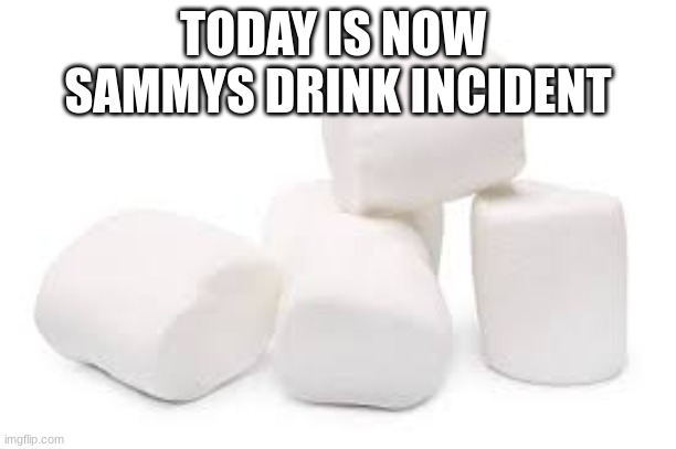 i didnt make him do it | TODAY IS NOW 
SAMMYS DRINK INCIDENT | made w/ Imgflip meme maker