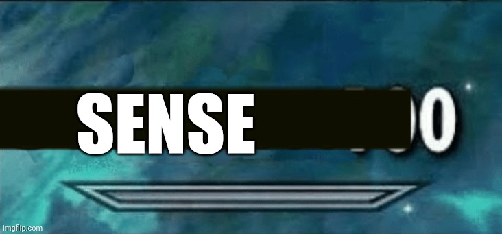 SENSE | made w/ Imgflip meme maker