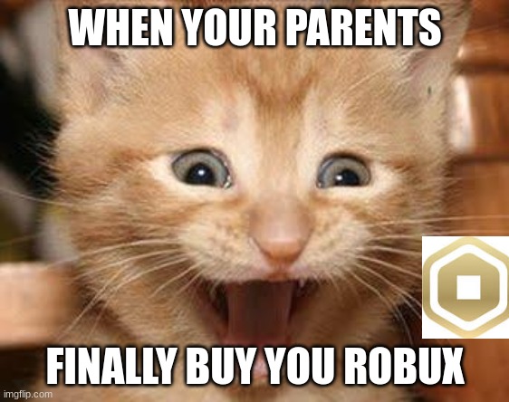 Robux | WHEN YOUR PARENTS; FINALLY BUY YOU ROBUX | image tagged in memes,excited cat | made w/ Imgflip meme maker