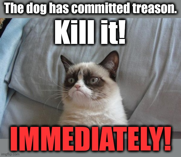 Grumpy Cat Bed Meme | The dog has committed treason. IMMEDIATELY! Kill it! | image tagged in memes,grumpy cat bed,grumpy cat | made w/ Imgflip meme maker
