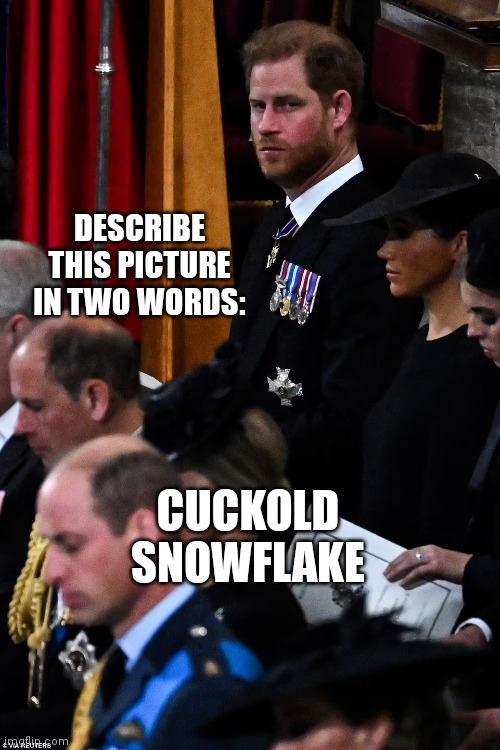 DESCRIBE THIS PICTURE IN TWO WORDS:; CUCKOLD SNOWFLAKE | image tagged in british royals,prince harry,meghan markle | made w/ Imgflip meme maker