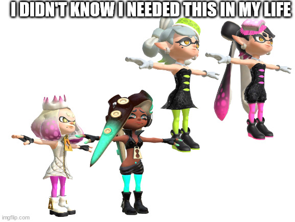 how did i find these | I DIDN'T KNOW I NEEDED THIS IN MY LIFE | image tagged in blank white template | made w/ Imgflip meme maker