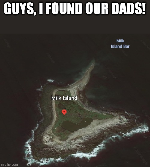 I FOUND THEM |  GUYS, I FOUND OUR DADS! | image tagged in mik,dad,memes,fun,i found our dads guys | made w/ Imgflip meme maker