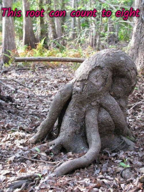 This root can count to eight | made w/ Imgflip meme maker
