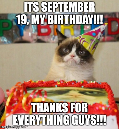 its my birthday!!!!!!!!!!!!!!!!!!!!!!!! | ITS SEPTEMBER 19, MY BIRTHDAY!!! THANKS FOR EVERYTHING GUYS!!! | image tagged in memes,grumpy cat birthday,grumpy cat | made w/ Imgflip meme maker