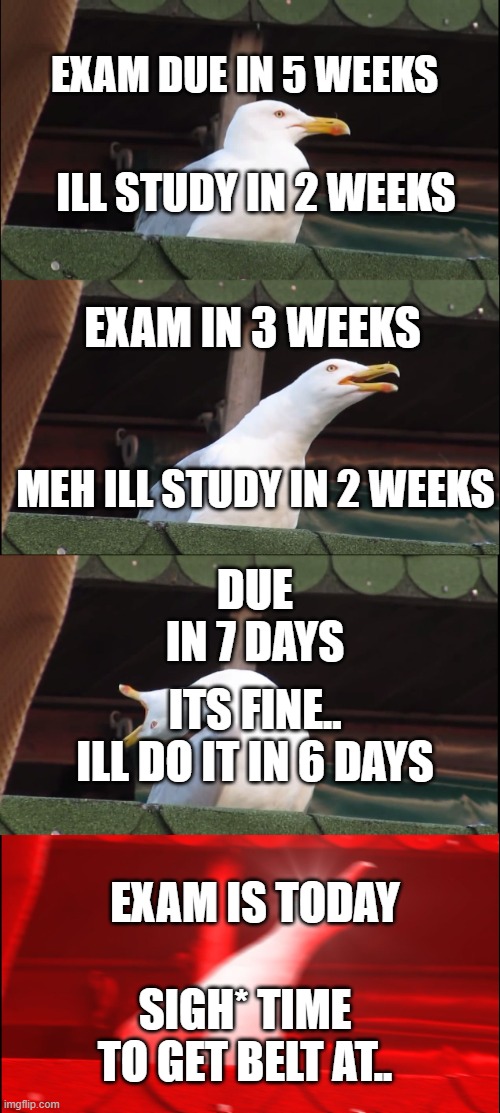 IM BACK AFTER HOW MANY YEARS | EXAM DUE IN 5 WEEKS; ILL STUDY IN 2 WEEKS; EXAM IN 3 WEEKS; MEH ILL STUDY IN 2 WEEKS; DUE IN 7 DAYS; ITS FINE.. ILL DO IT IN 6 DAYS; EXAM IS TODAY; SIGH* TIME TO GET BELT AT.. | image tagged in memes,inhaling seagull,funny | made w/ Imgflip meme maker