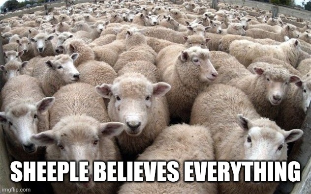 sheeple | SHEEPLE BELIEVES EVERYTHING | image tagged in sheeple | made w/ Imgflip meme maker