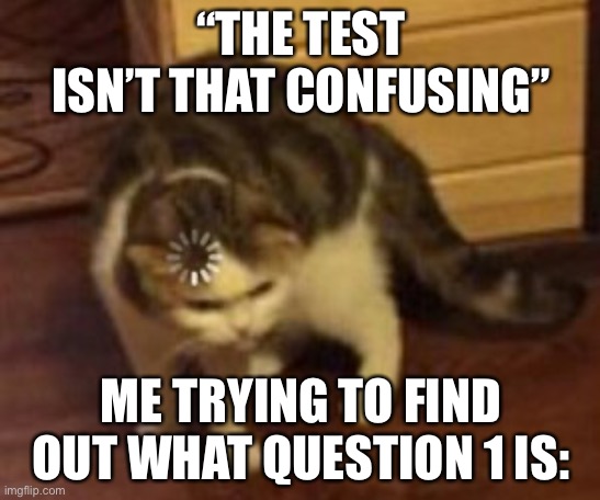 Loading cat | “THE TEST ISN’T THAT CONFUSING”; ME TRYING TO FIND OUT WHAT QUESTION 1 IS: | image tagged in loading cat | made w/ Imgflip meme maker