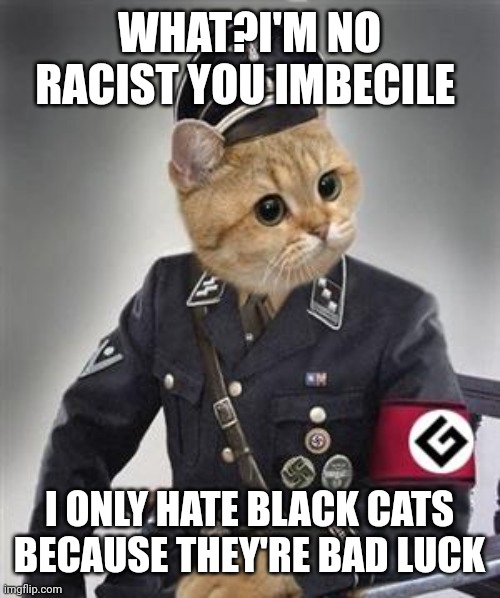 Grammar Nazi Cat | WHAT?I'M NO RACIST YOU IMBECILE; I ONLY HATE BLACK CATS BECAUSE THEY'RE BAD LUCK | image tagged in grammar nazi cat | made w/ Imgflip meme maker