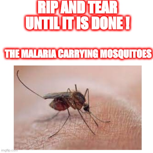 Doom tribute + mosquitoes | RIP AND TEAR UNTIL IT IS DONE ! THE MALARIA CARRYING MOSQUITOES | image tagged in doom | made w/ Imgflip meme maker