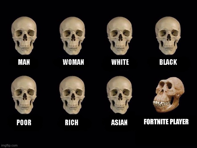 empty skulls of truth | FORTNITE PLAYER | image tagged in empty skulls of truth | made w/ Imgflip meme maker