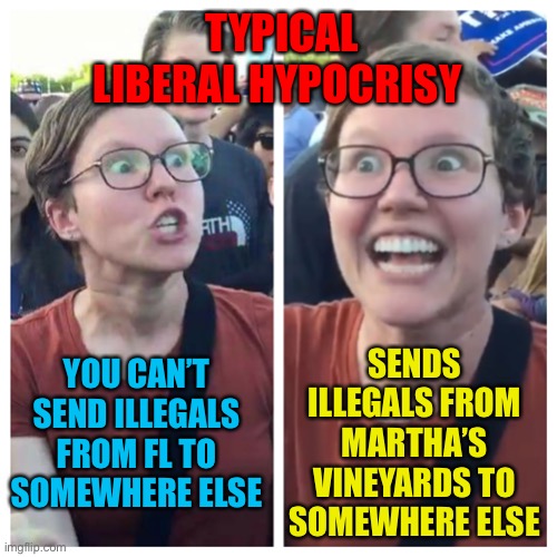 If it weren’t for double standards, liberals would have no standards at all. | TYPICAL LIBERAL HYPOCRISY; SENDS ILLEGALS FROM MARTHA’S VINEYARDS TO SOMEWHERE ELSE; YOU CAN’T SEND ILLEGALS FROM FL TO SOMEWHERE ELSE | image tagged in social justice warrior hypocrisy,illegals,marthas vineyard | made w/ Imgflip meme maker