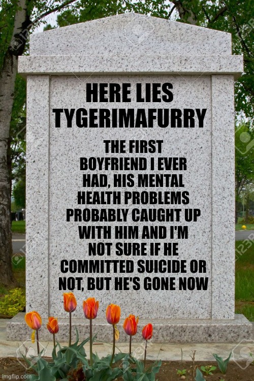 Goodbye hon, I loved you | HERE LIES TYGERIMAFURRY; THE FIRST BOYFRIEND I EVER HAD, HIS MENTAL HEALTH PROBLEMS PROBABLY CAUGHT UP WITH HIM AND I'M NOT SURE IF HE COMMITTED SUICIDE OR NOT, BUT HE'S GONE NOW | image tagged in blank gravestone | made w/ Imgflip meme maker