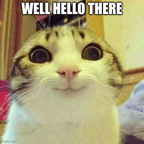 Well, hello there | WELL HELLO THERE | image tagged in well hello there | made w/ Imgflip meme maker