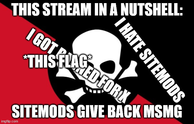 MSMG rebellion flag | THIS STREAM IN A NUTSHELL:; I HATE SITEMODS; *THIS FLAG*; I GOT BANNED FOR X; SITEMODS GIVE BACK MSMG | image tagged in msmg rebellion flag | made w/ Imgflip meme maker