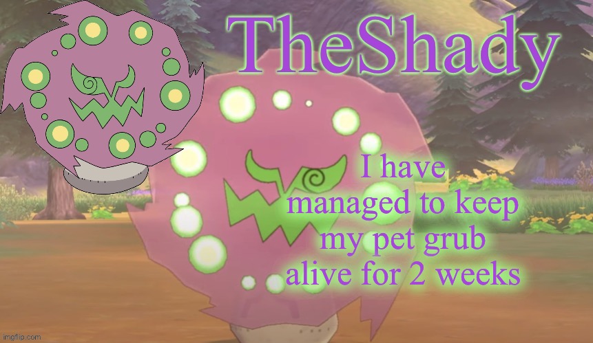 He’s still alive | I have managed to keep my pet grub alive for 2 weeks | image tagged in theshady spiritomb temp | made w/ Imgflip meme maker