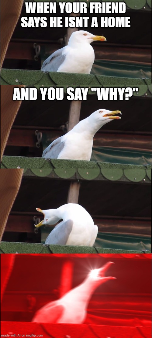 Inhaling Seagull | WHEN YOUR FRIEND SAYS HE ISNT A HOME; AND YOU SAY "WHY?" | image tagged in memes,inhaling seagull,ai meme | made w/ Imgflip meme maker