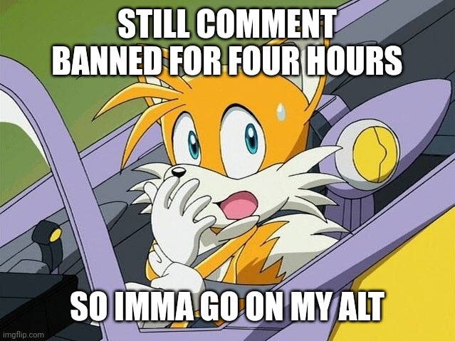 I love this image | STILL COMMENT BANNED FOR FOUR HOURS; SO IMMA GO ON MY ALT | image tagged in tails | made w/ Imgflip meme maker