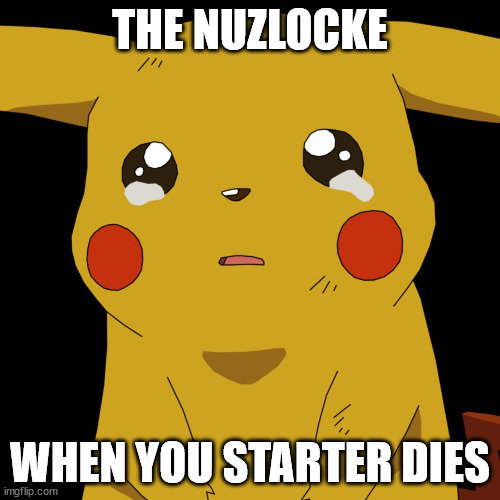 pokemon | THE NUZLOCKE; WHEN YOU STARTER DIES | image tagged in pokemon | made w/ Imgflip meme maker