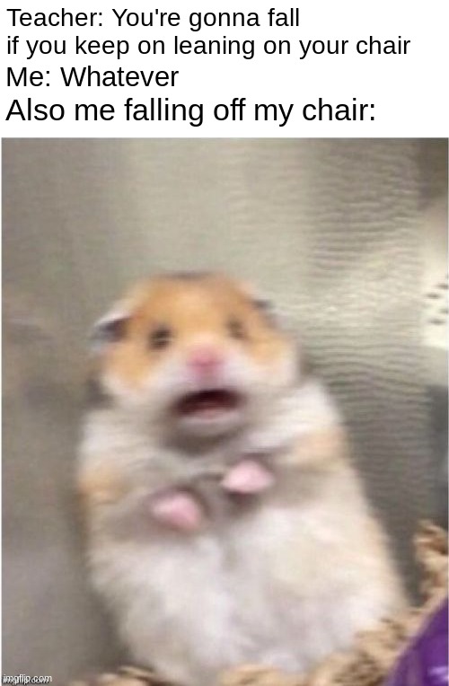 Based off of a true story | Teacher: You're gonna fall if you keep on leaning on your chair; Me: Whatever; Also me falling off my chair: | image tagged in scared hamster | made w/ Imgflip meme maker