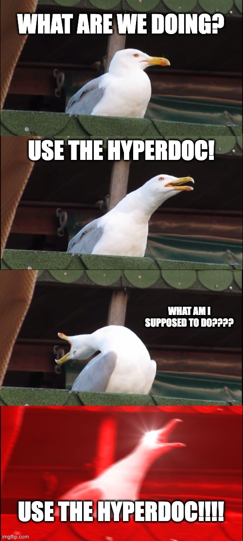 Blended Learning | WHAT ARE WE DOING? USE THE HYPERDOC! WHAT AM I SUPPOSED TO DO???? USE THE HYPERDOC!!!! | image tagged in memes,inhaling seagull | made w/ Imgflip meme maker