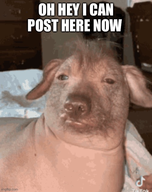 OH HEY I CAN POST HERE NOW | made w/ Imgflip meme maker