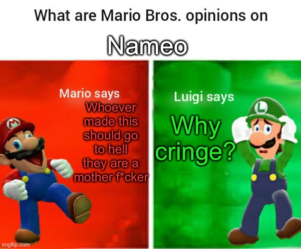 SMG4 opinions | Nameo; Whoever made this should go to hell they are a mother f*cker; Why cringe? | image tagged in smg4 opinions,htf | made w/ Imgflip meme maker