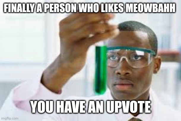 FINALLY | FINALLY A PERSON WHO LIKES MEOWBAHH YOU HAVE AN UPVOTE | image tagged in finally | made w/ Imgflip meme maker