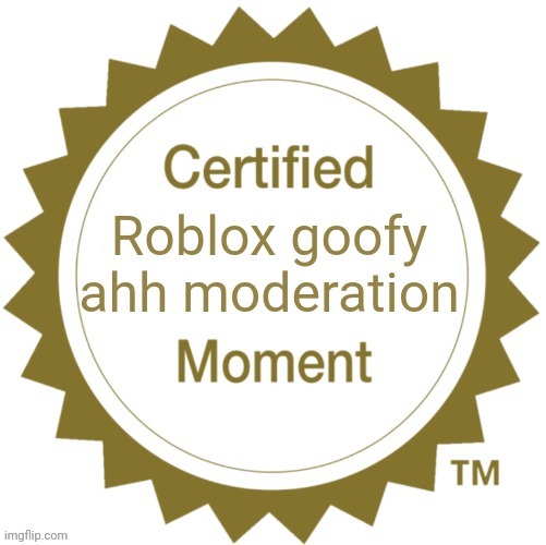 Certified Roblox goofy ahh moderation moment | image tagged in certified roblox goofy ahh moderation moment | made w/ Imgflip meme maker