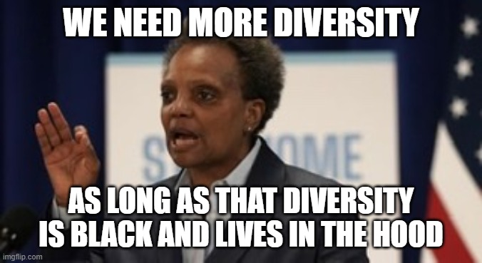 Lori Lightfoot hates diversity when it isn't her people robbing white people at gunpoint. | WE NEED MORE DIVERSITY; AS LONG AS THAT DIVERSITY IS BLACK AND LIVES IN THE HOOD | image tagged in lori lightfoot | made w/ Imgflip meme maker