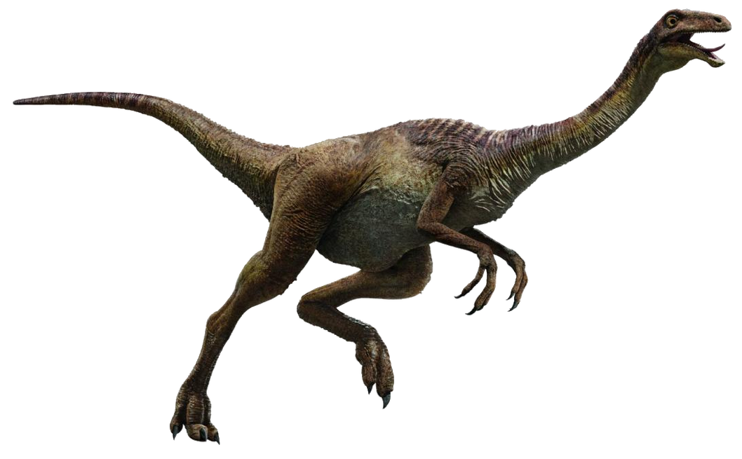 Gallimimus 2 Blank Meme Template
