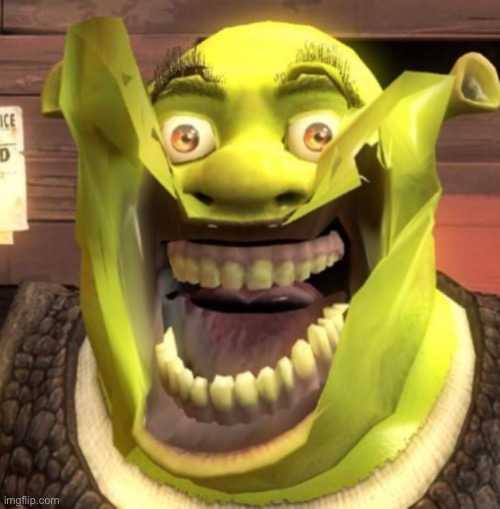 Cursed Shrek (might be screaming) | image tagged in cursed shrek might be screaming | made w/ Imgflip meme maker