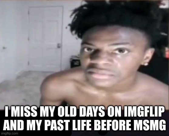 I MISS MY OLD DAYS ON IMGFLIP AND MY PAST LIFE BEFORE MSMG | made w/ Imgflip meme maker