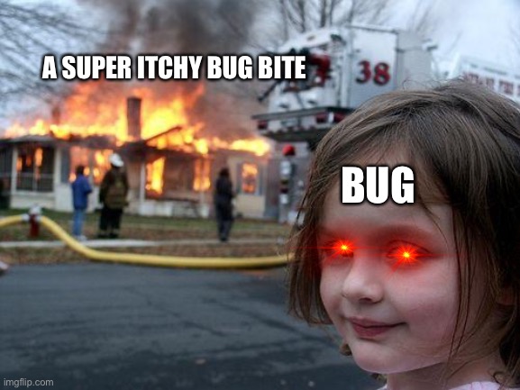Disaster Girl Meme | A SUPER ITCHY BUG BITE; BUG | image tagged in memes,disaster girl | made w/ Imgflip meme maker