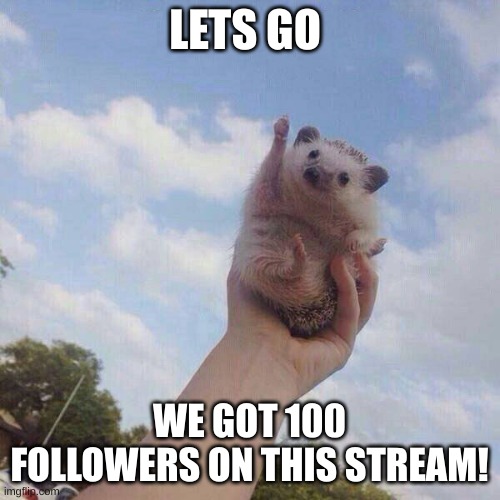 New milestone | LETS GO; WE GOT 100 FOLLOWERS ON THIS STREAM! | image tagged in lets go | made w/ Imgflip meme maker