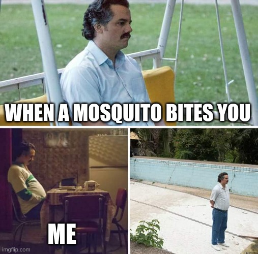 Sad Pablo Escobar Meme | WHEN A MOSQUITO BITES YOU; ME | image tagged in memes,sad pablo escobar | made w/ Imgflip meme maker