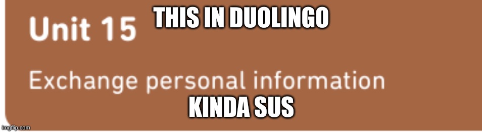 sus duolingo | THIS IN DUOLINGO; KINDA SUS | image tagged in funny | made w/ Imgflip meme maker