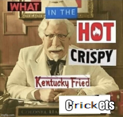what in the hot crispy kentucky fried frick | ets C | image tagged in what in the hot crispy kentucky fried frick | made w/ Imgflip meme maker