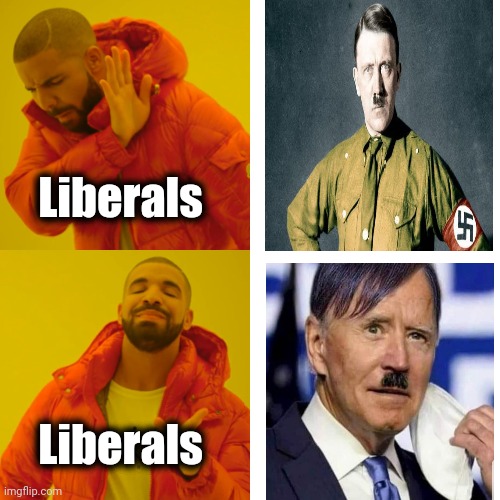 Drake Hotline Bling Meme | Liberals Liberals | image tagged in memes,drake hotline bling | made w/ Imgflip meme maker