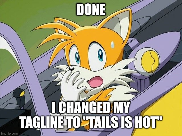 DONE; I CHANGED MY TAGLINE TO "TAILS IS HOT" | image tagged in tails | made w/ Imgflip meme maker